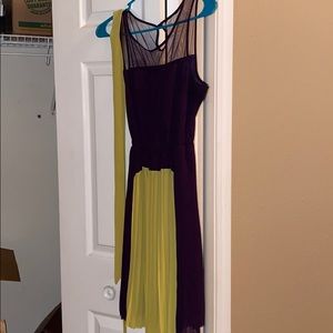 Purple and Gold Dress